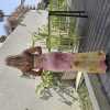 שמלת קטיה-פרחוני - Thumbnail Image 3