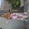 שמלת אמיליה-שמנת פרחוני - Thumbnail Image 3